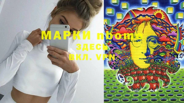 прущие грибы Снежногорск